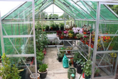 Greenhouse Picture