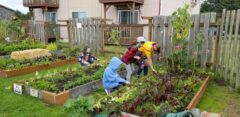 People in community garden2