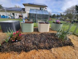 raised beds and house